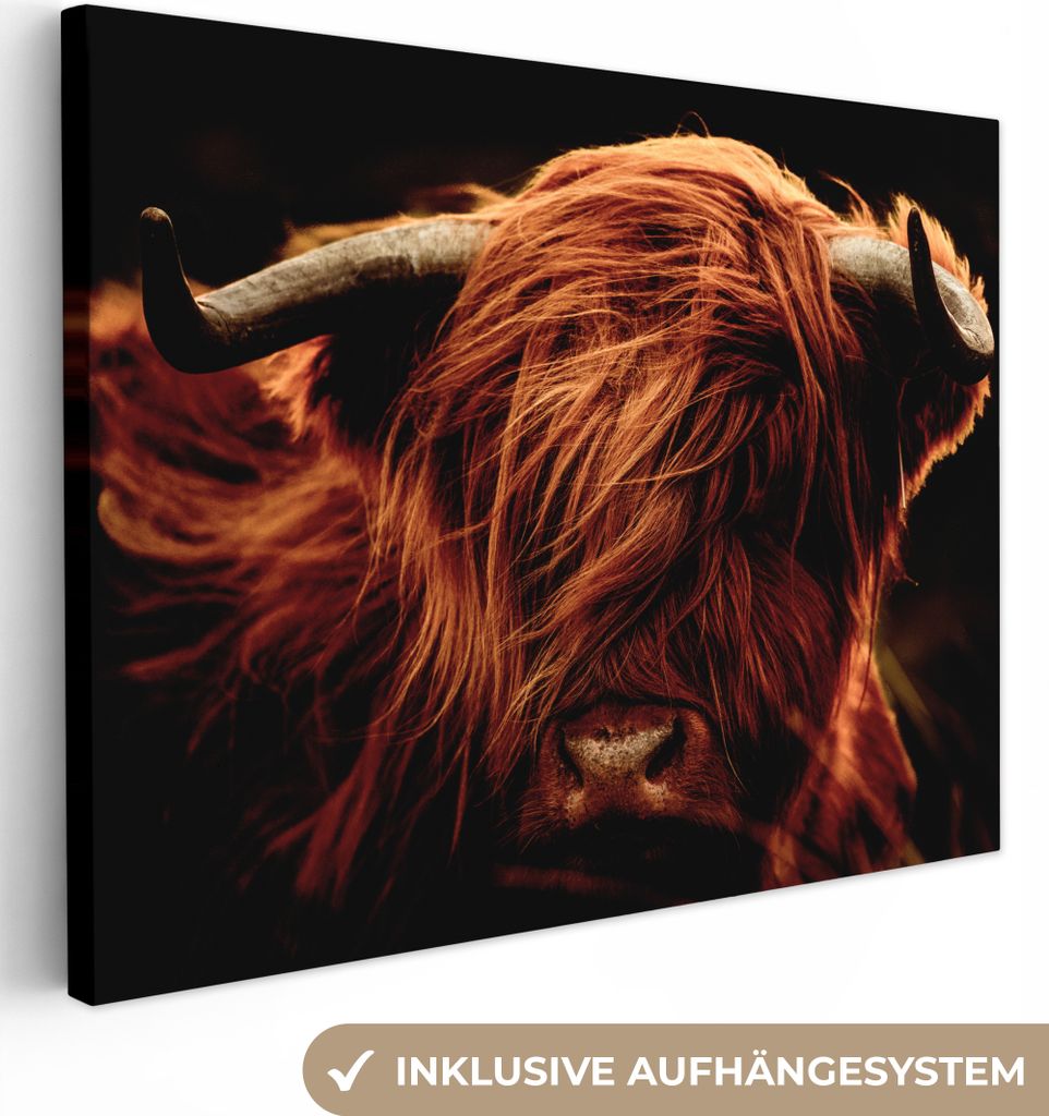 MuchoWow - Leinwandbilder - Schottischer Highlander - Kuh - Hörner - Porträt - Tiere, Wandbild, Wanddeko Bilder Wohnzimmer, 40x30 cm