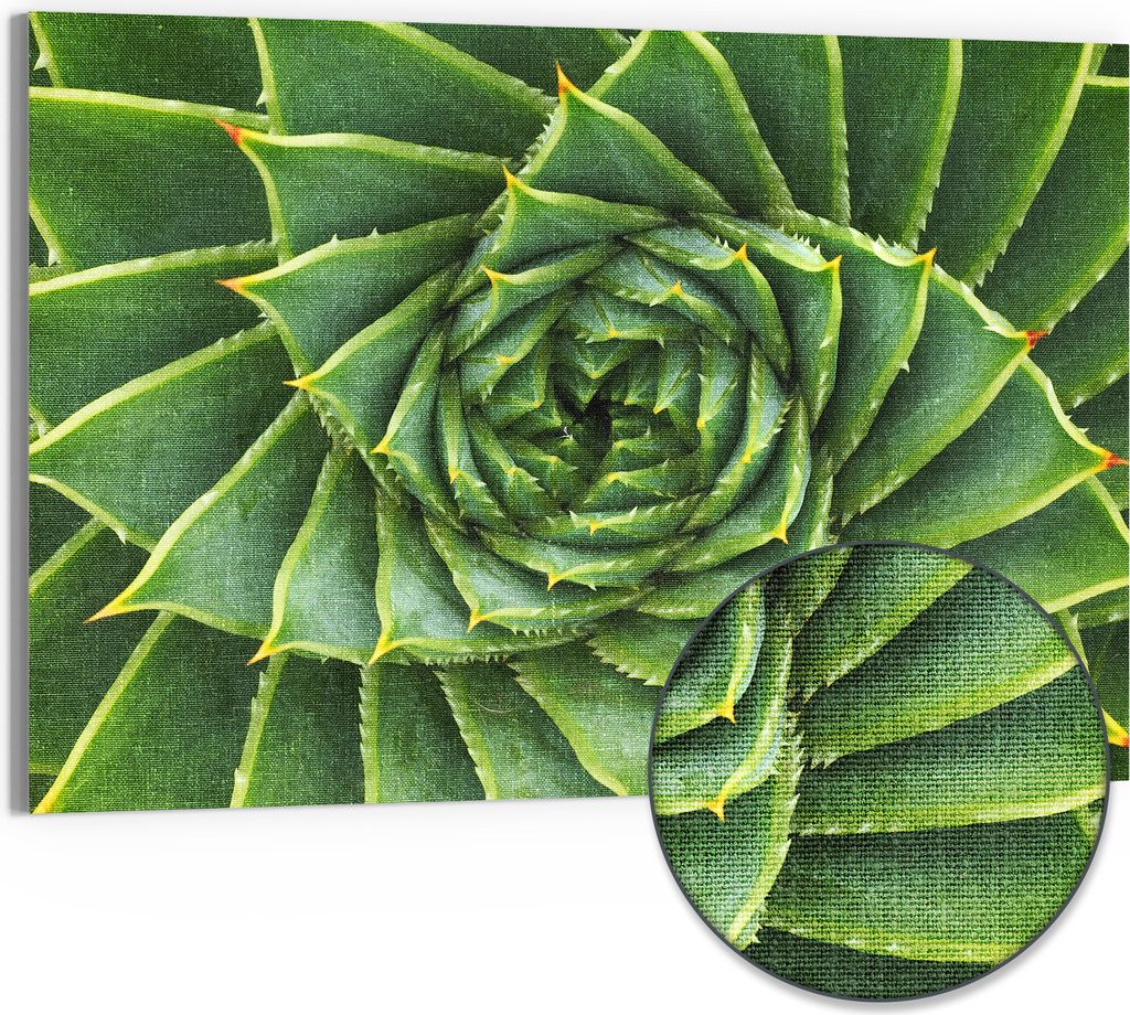 DEQORI Hybrid Leinwand Bild 90x60 cm 'Alchemie der Aloe' Produktbild 