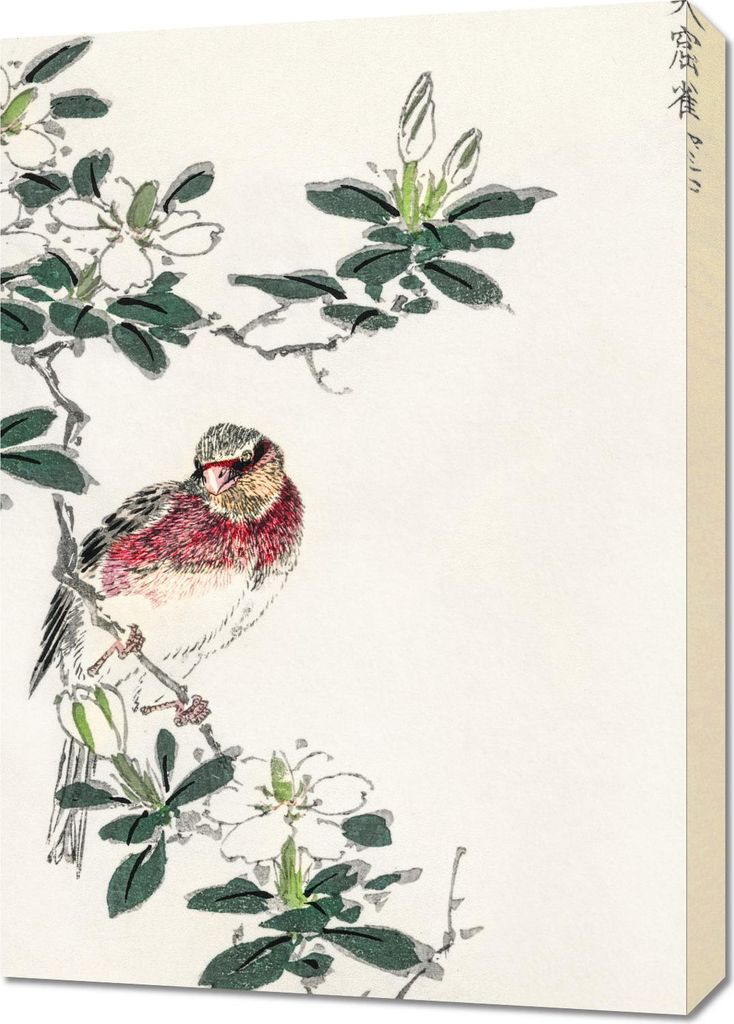 Bild 50x70cm Rosefinch, Japanische Kashu Vintage für das Wohnzimmer