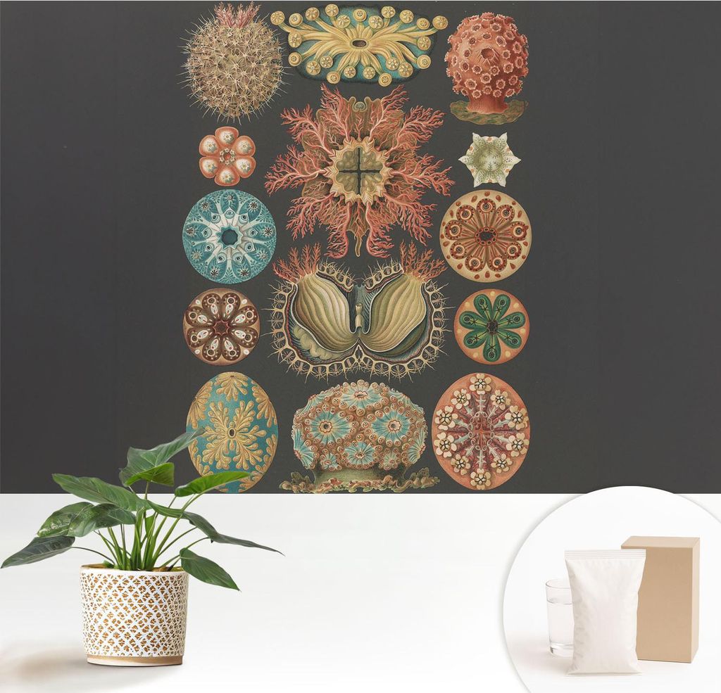 Fototapete - 152x104 cm - Tapete - Wandtapete - Wandbilder - Dekofolie - Tapete Folie - Wand - Dekoration - Wohnzimmer - Inspirationen aus dem Meer