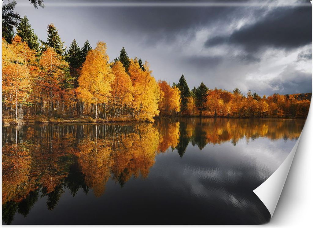 Vlies fototapete Herbstwald am See 350x245 cm Feeby Gelb inkl. Kleber einfache Montage