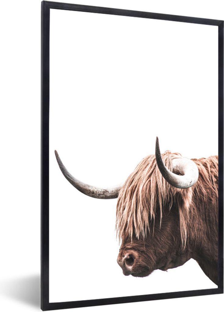 MuchoWow MuchoWow Gerahmtes Poster Schottisches Hochlandrind - Tiere - Weiß 20x30 cm - Poster mit zchwarzem Bilderrahmen - Drucken - Bilder Po...