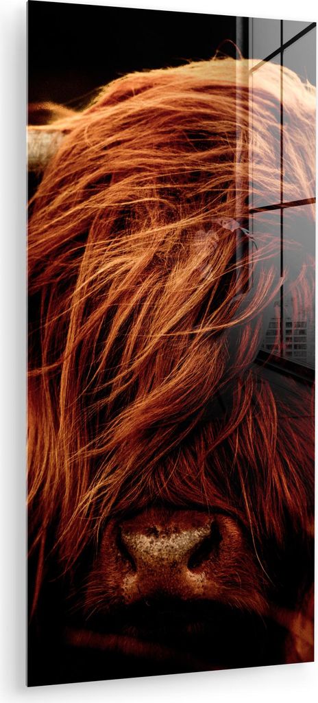 MuchoWow Glasbilder - Bilder auf Wandbild - Foto auf Glas Schottisches Hochlandrind - Kuh - Hörner - Porträt - Tiere 60x120 cm Wanddekoration aus...