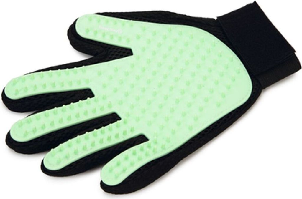 Beeztees Rubby Pflegehandschuh - Hund - mint - 24x18x1 cm