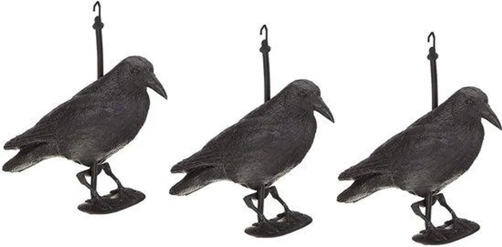 Pointes anti-oiseaux inoxydables haute résistance montage facile 3m Inox