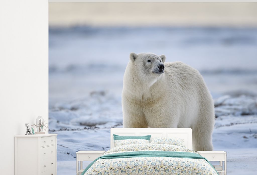 MuchoWow Fototapete für Wohnzimmer oder Schlafzimmer Wandtapete Vinyl Motivtapete Eisbär - Schnee - Mantel - 325x260 cm - Tapete