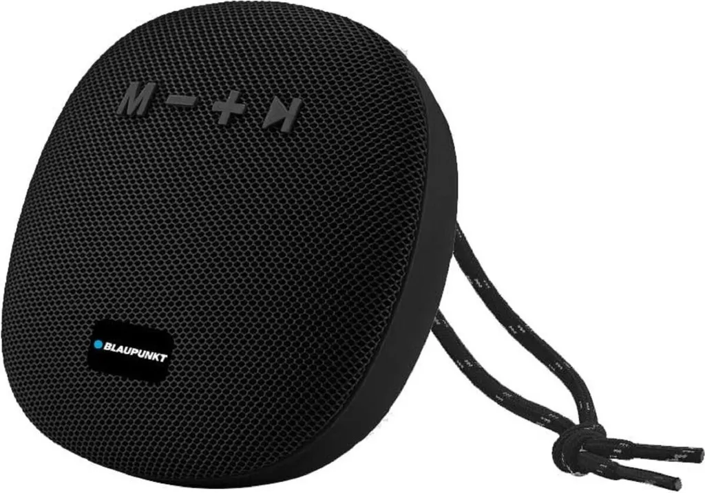Haut-parleur Bluetooth Blaupunkt pour Soirées et Sorties en Extérieur