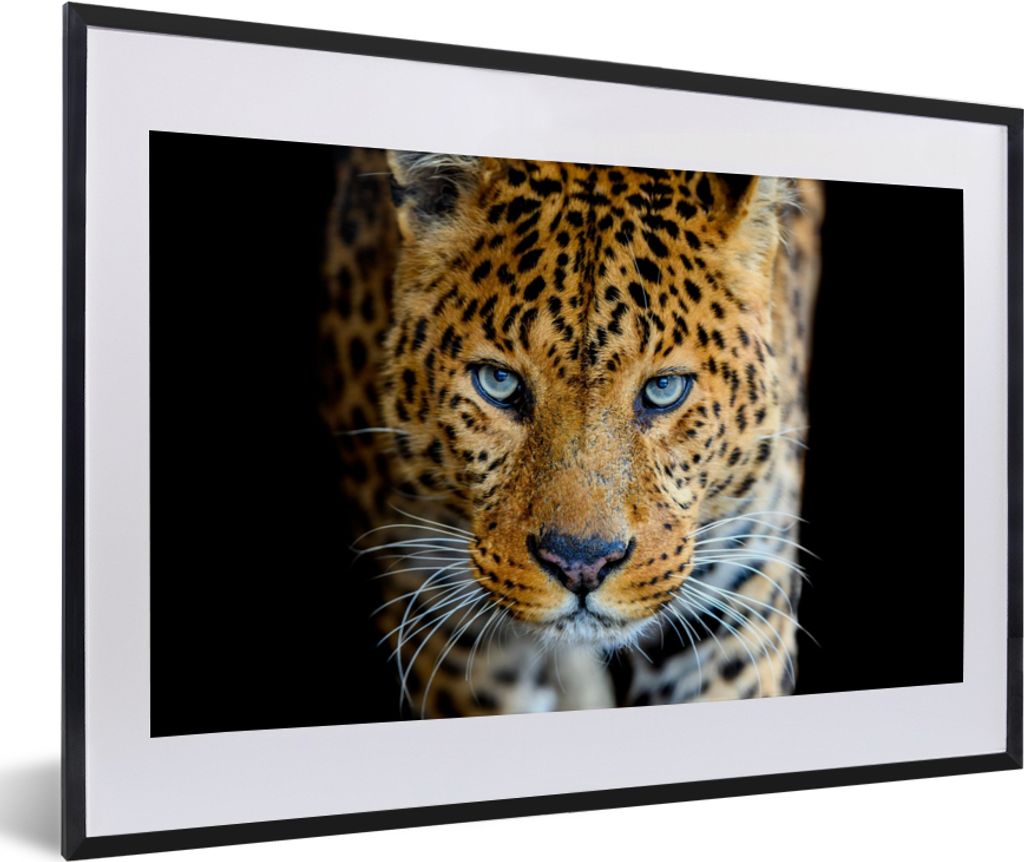 MuchoWow Gerahmtes Poster Leopard - Tiere - Porträt - Wildtiere - Schwarz 60x40 cm - Poster mit Schwarzem Bilderrahmen Wandposter Rahmen Foto Bi...