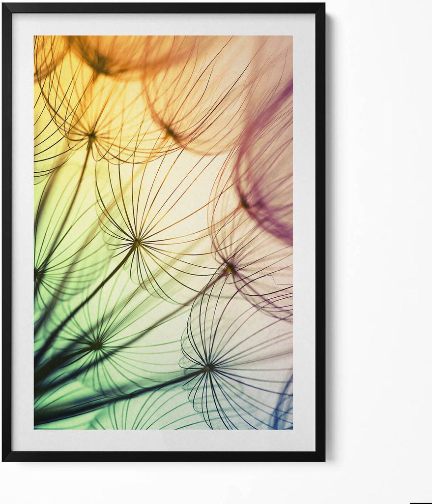 Zarte Pollen eines Löwenzahns– Wandbild mit Rahmen – Gerahmtes Bild – Wanddekoration – 70x100 cm – Schwarz Rahmen