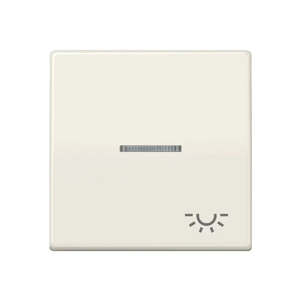 Bascule Jung AS 591 KO5L Blanc Alpin avec Symbole Lumière Gravé Durable