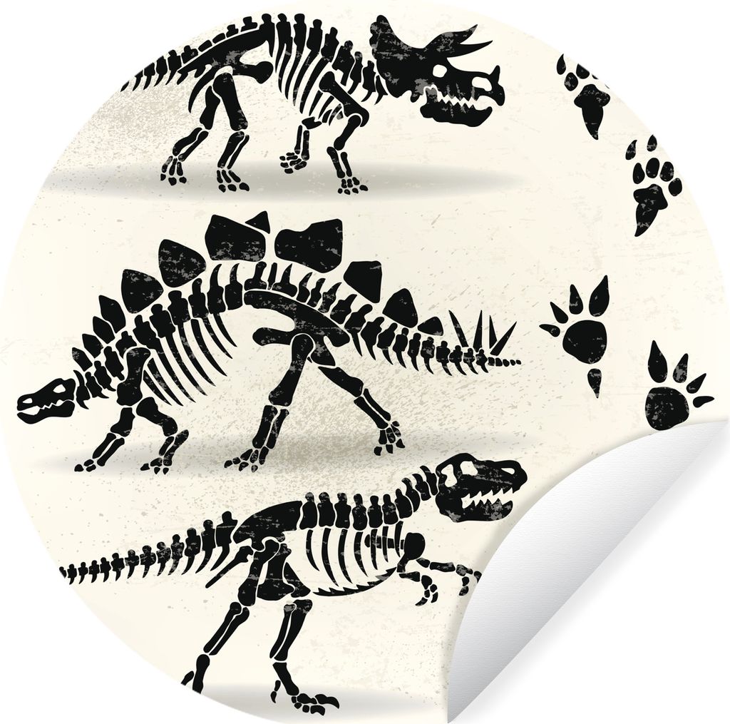 MuchoWow Runde Wandtattoo - Wandsticker Tapete Aufkleber Dinosaurier - Skelett - Pfotenabdruck - Zeichnung - Kinder - Kids - Kinder Ø 50 cm Selb...