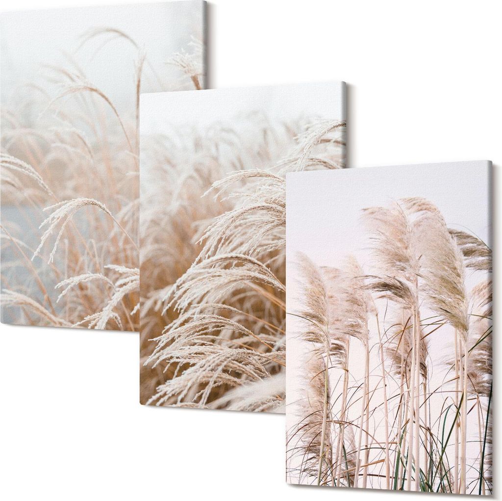 Leinwandbild – Wandbild – Leinwandbilder – Kunstdruck – Polycanvas – Modern – Mehrteilig – 3-Teilig Set – Hochwertig – Geruchslos...