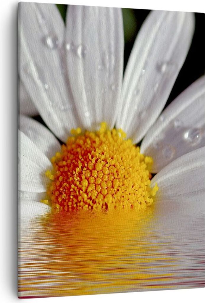 Bild auf Leinwand - Leinwandbild - Einteilig - Kraut Kamille Blume Wasser - 50x70cm - Wand Bild - Wanddeko - Wandbilder - Leinwanddruck - Wanddekor...