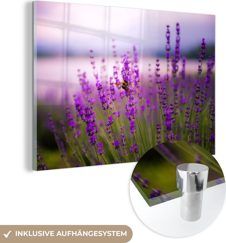 MuchoWow Glasbilder - Bilder auf Wandbild - Foto auf Glas Lavendel mit Biene 90x60 cm Wanddekoration aus Glas - Acrylglasbild - Acrylbilder - Wandm...