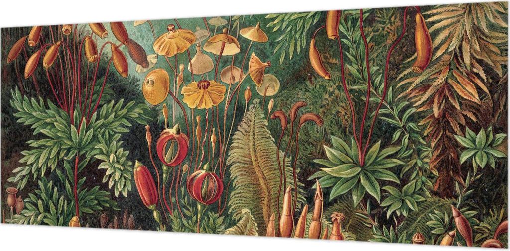 Tapeta ścienna – tapeta dekoracyjna do salonu – folia Zdjęcie produktu 