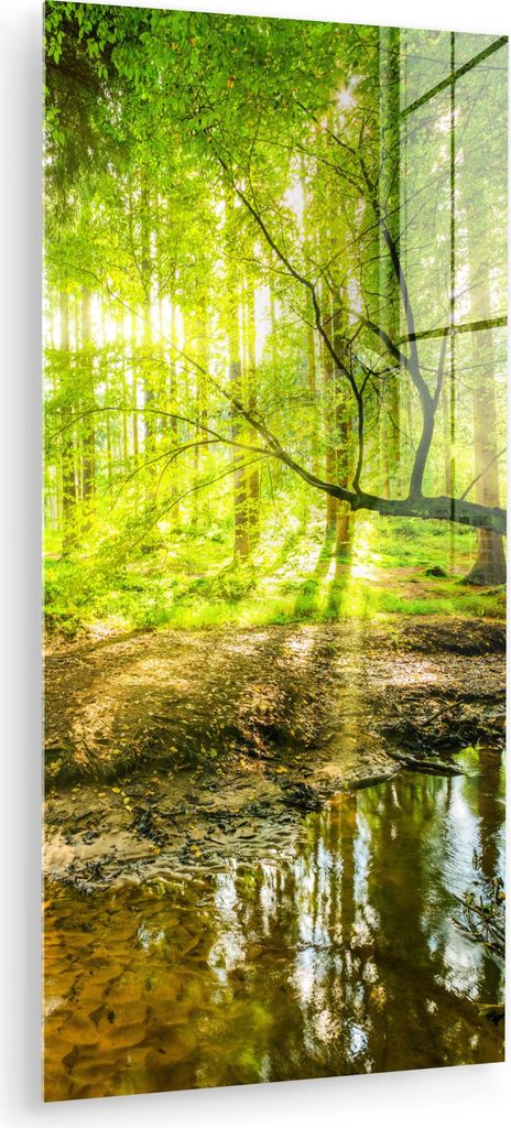 MuchoWow Glasbilder - Bilder auf Wandbild - Foto auf Glas Wald - Landschaft - Wasser - Bäume - Sonne - Grün - Natur 40x80 cm Wanddekoration aus G...
