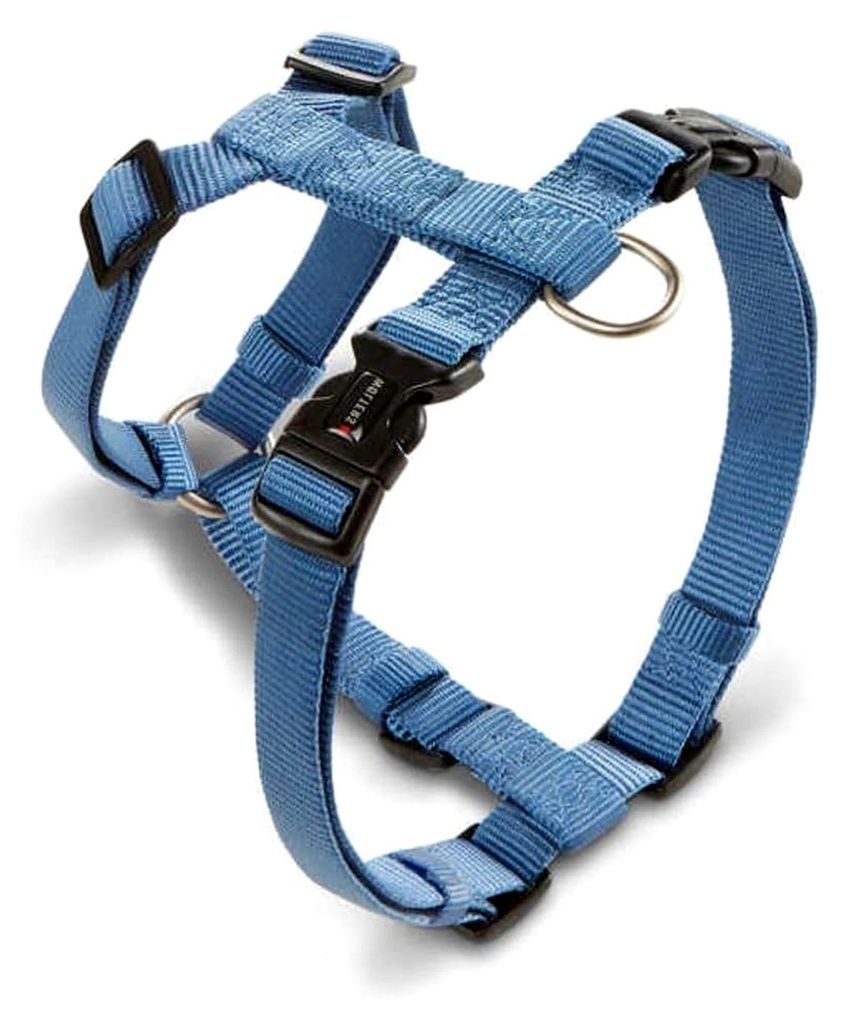 Geschirr Professional, Größe: M 30-50 cm x 15 mm, Farbe: Riverside Blue