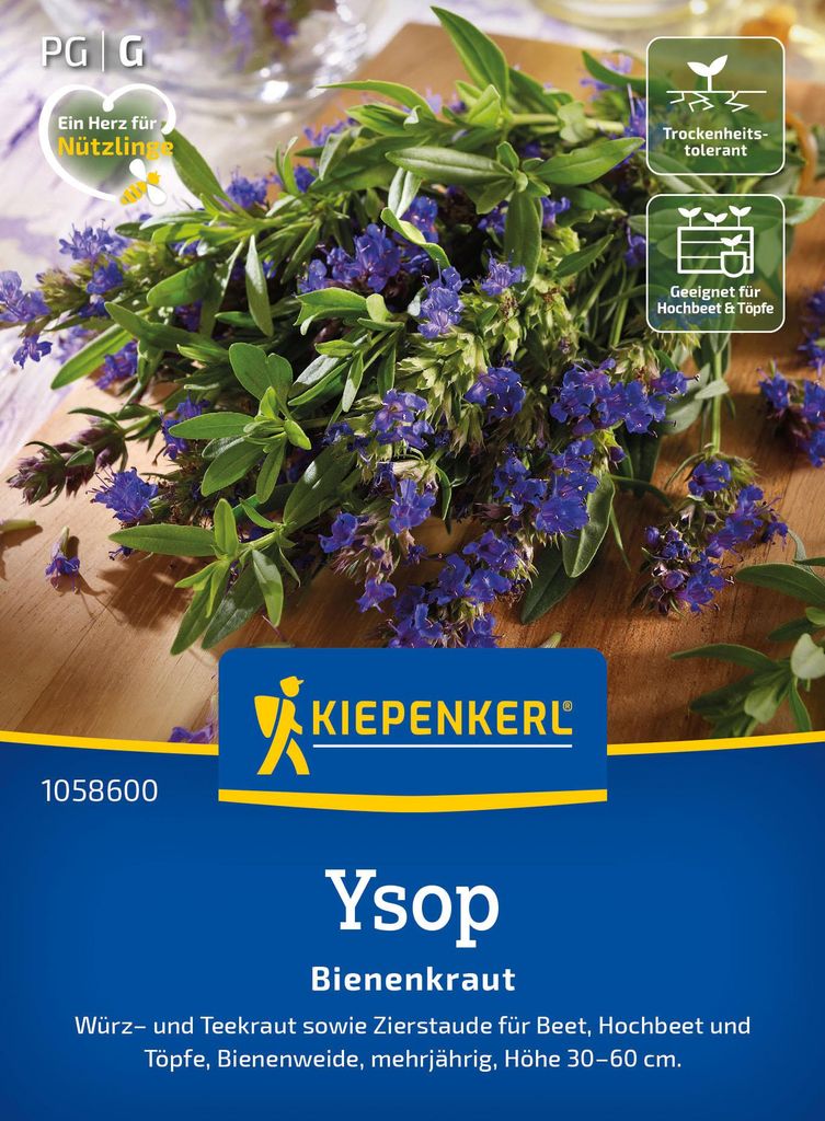 Artikelbild 2 von 'Ysop Bienenkraut' aus der Kategorie Ysopsamen