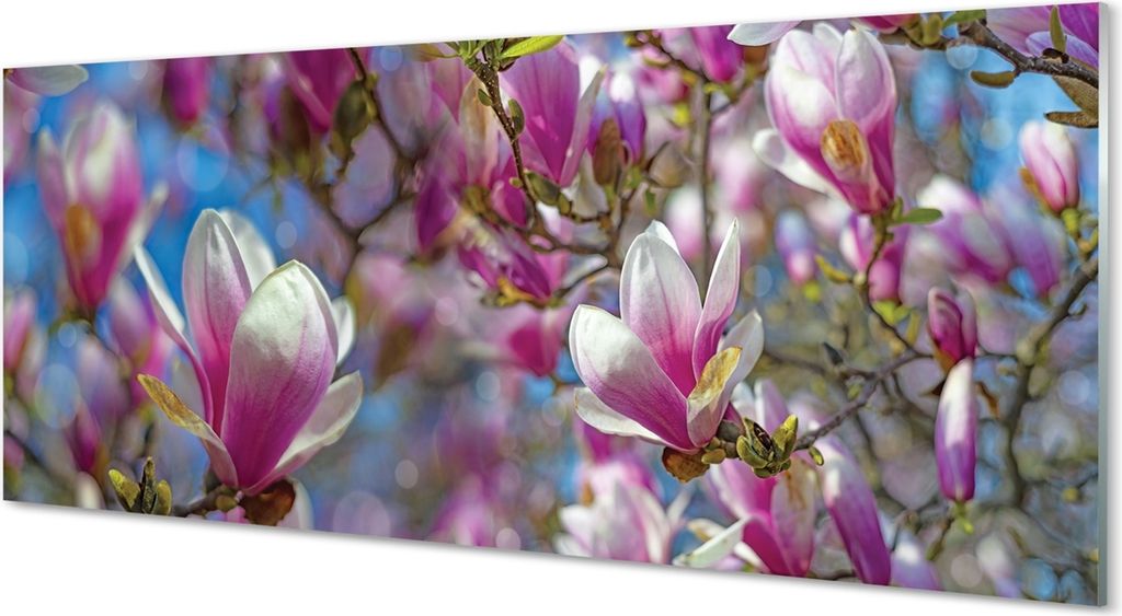 Glasbilder 125x50 Wandkunst Magnolienbaum