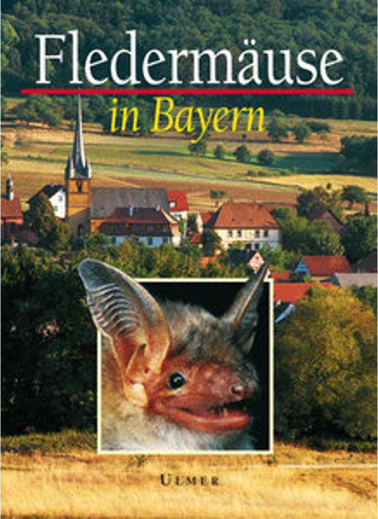 Fledermäuse in Bayern