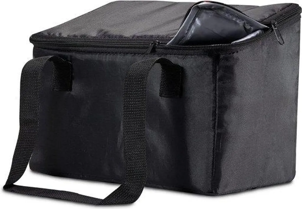Petit sac poubelle de voiture 16x24x20 cm robuste et discret noir