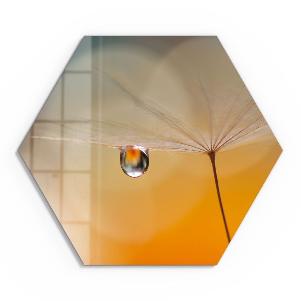 DEQORI Glasbild Echtglas 40x35 cm 'Träne des Morgens' Wandbild Bild modern Deko