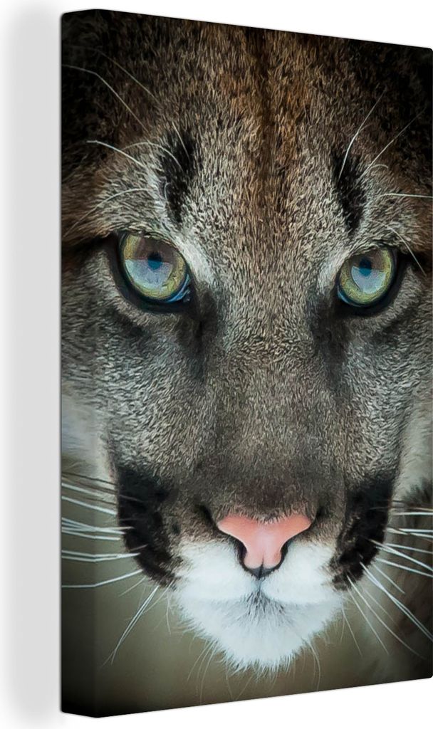OneMillionCanvasses - Leinwandbilder - 90x140 cm, Nahaufnahme Puma, Wandbilder Kunstdruck Wanddekoration - Foto auf Leinwand - Gemälde auf Holzr...