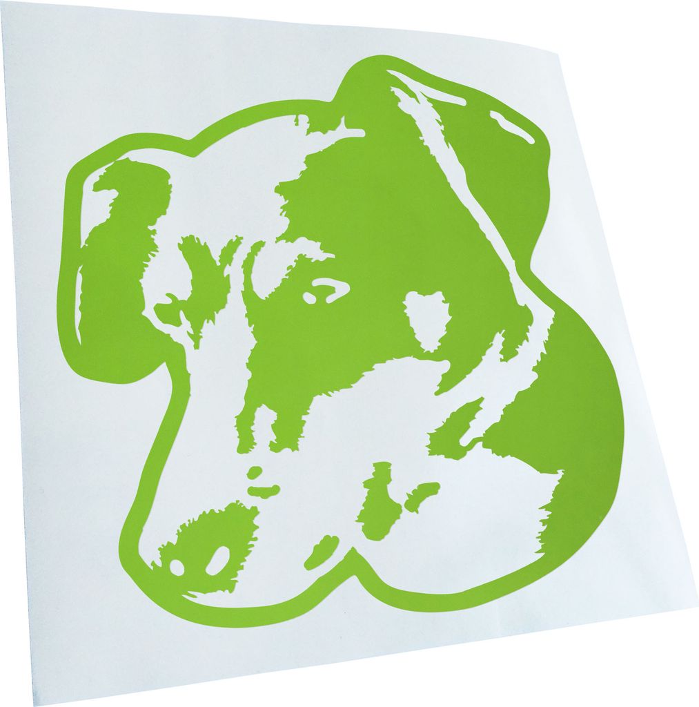 Kiwistar - Autoaufkleber - Rat Terrier Hund - Lindgrün - 60x60cm - Aufkleber für Auto, Laptop, Fahrrad, LKW, Motorrad Mehrfarbig JDM Decal Racing