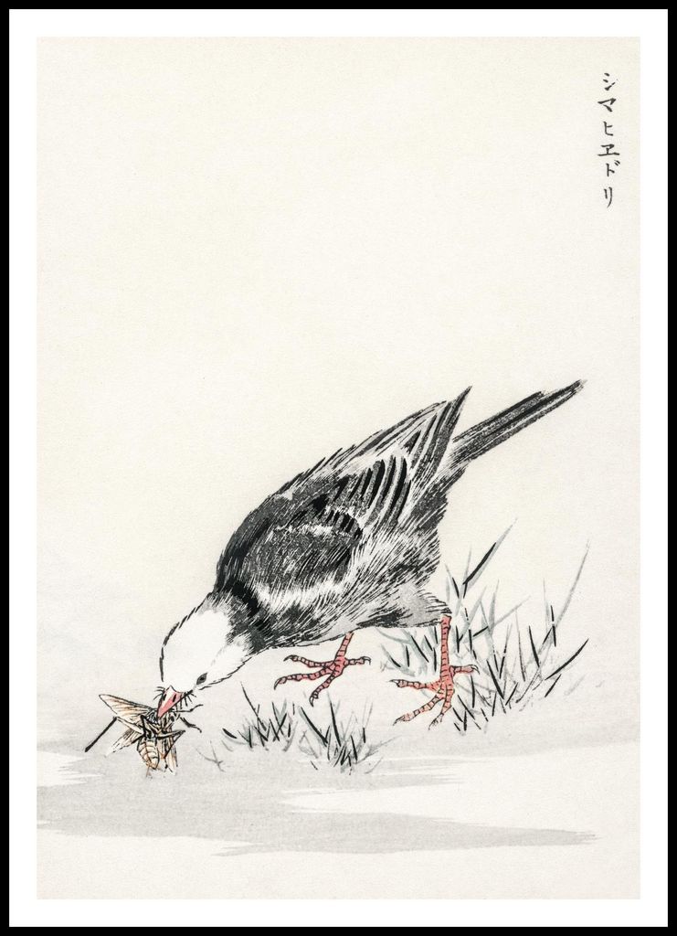 Plakat 70x100cm Bulbul, Japanischer Vintage Kashu für das Wohnzimmer