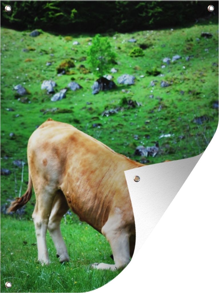 MuchoWow 30x40 cm Outdoor-Poster Gartendeko Sichtschutz Garten Poster für den Garten Kniende Kuh in Flachau