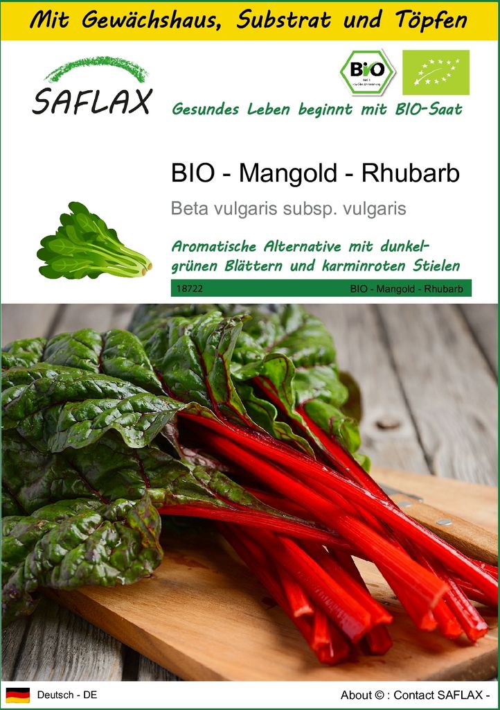 SAFLAX Anzucht Set - BIO - Mangold - Rhubarb - Beta vulgaris subsp. vulgaris - 50 Samen - Mit Mini-Gewächshaus, Anzuchtsubstrat und 2 Töpfen