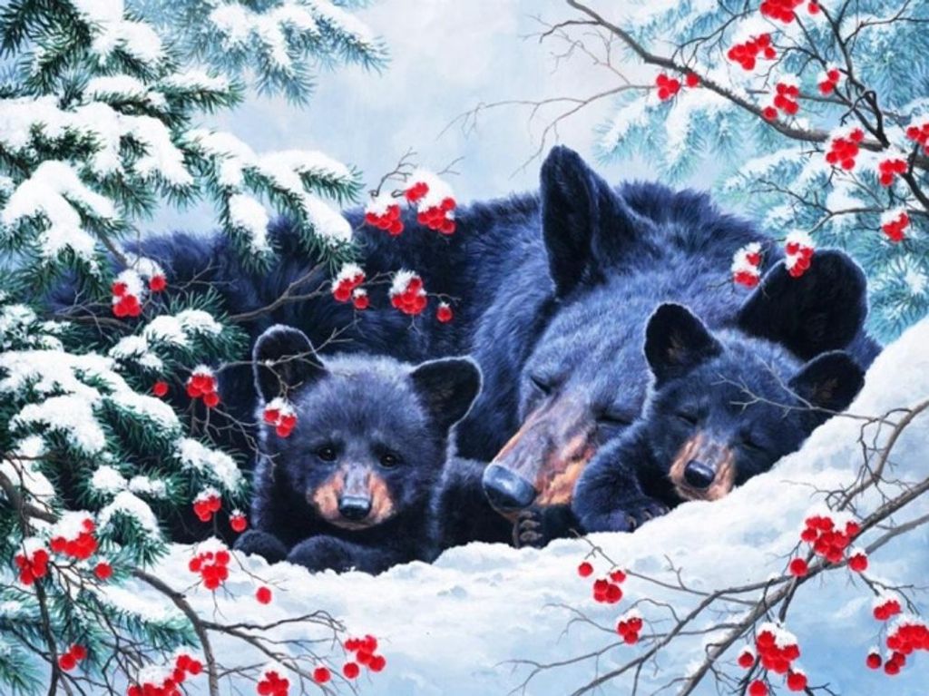 Diamond Painting Vollbild 30x40 mit runden Steinen