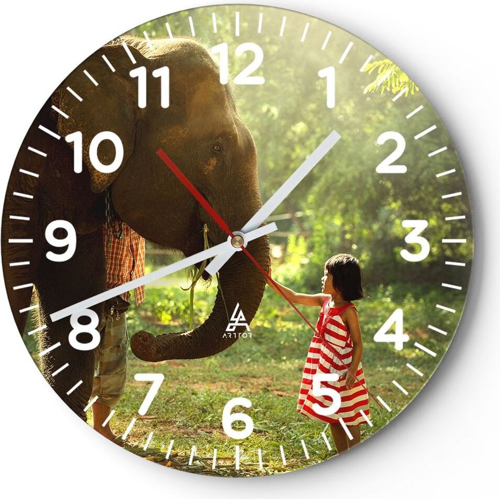 Wanduhr - Rund - Glasuhr - Elefant Tier - 40x40cm - Schleichendes Uhrwerk - Lautlos - zum Aufhängen bereit - Dekoration Modern - Wanddekoration au...