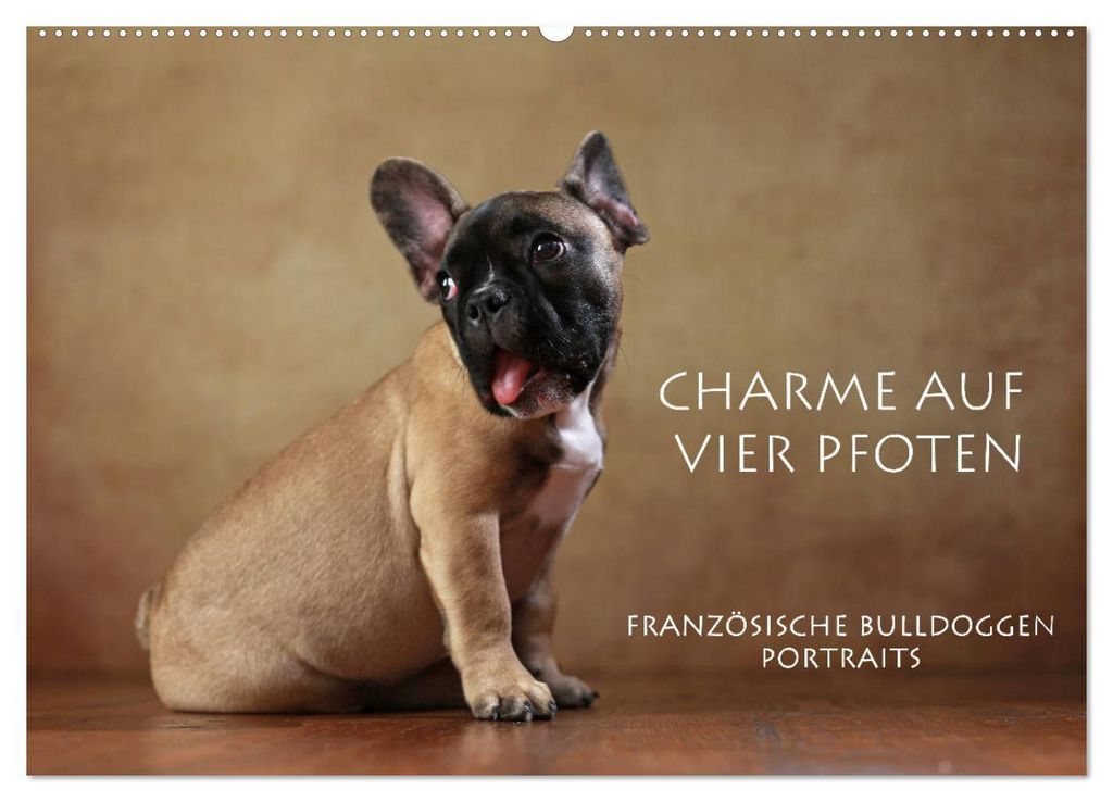 Charme auf vier Pfoten - Französische Bulldoggen Portraits (Wandkalender 2027 DIN A2 quer), CALVENDO Monatskalender