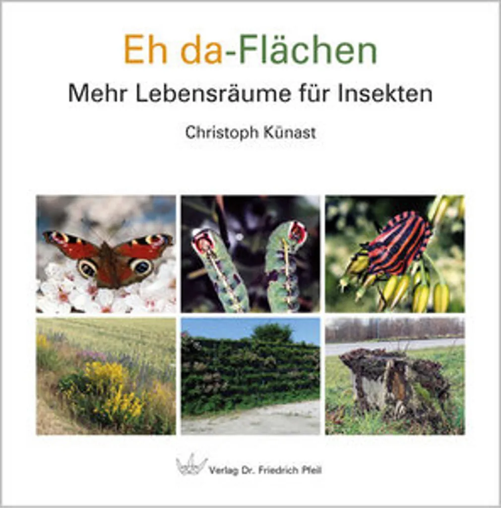 Semence Gazon Eh da-Flächen Mélange Spécial pour Zones Difficiles 5kg