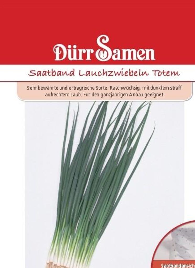 Lauchzwiebel Totem (Saatband) | Lauchzwiebelnsamen von Dürr Produktbild 