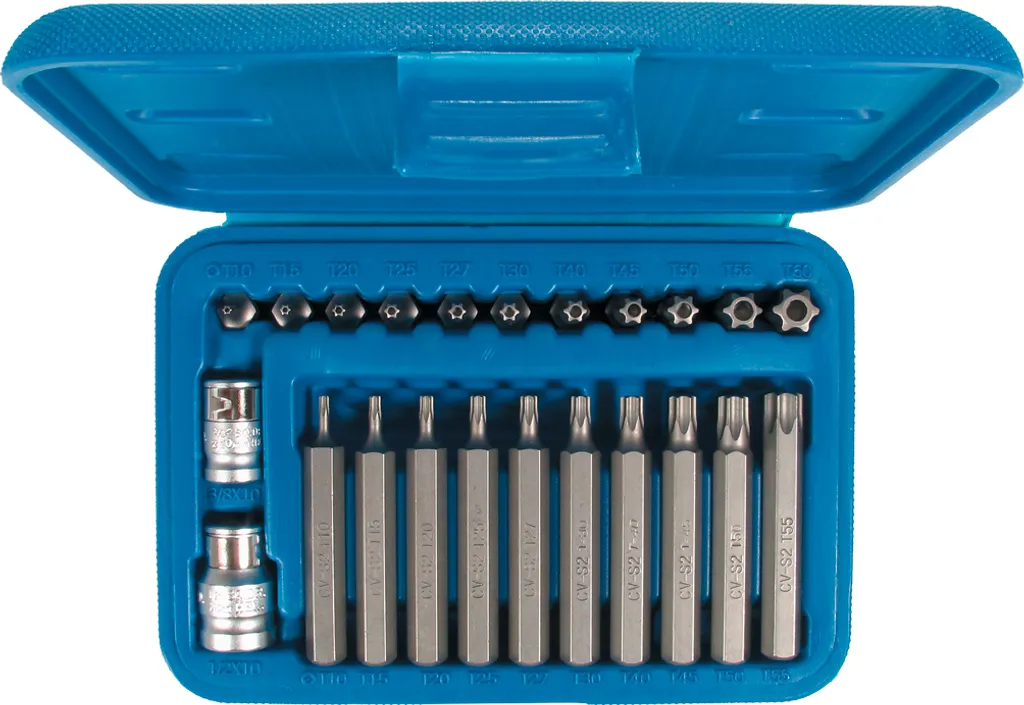 Kit douilles Torx T-Profi pour Mécanique Auto 22 pcs T10 à T55 Pro