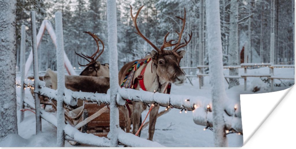 MuchoWow Poster Ein Rentier im Weihnachtsmanndorf in Finnland 40x20 cm - Poster für die Wand - Poster Schlafzimmer