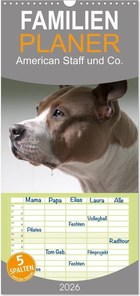 Familienplaner 2026 - American Staff und Co. mit 5 Spalten (Wandkalender, 21 x 45 cm) CALVENDO