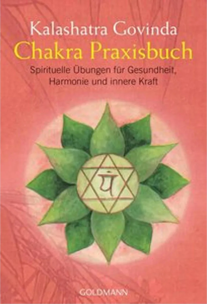Livre Chakra Praxisbuch : Manuel complet d'éveil spirituel et soins