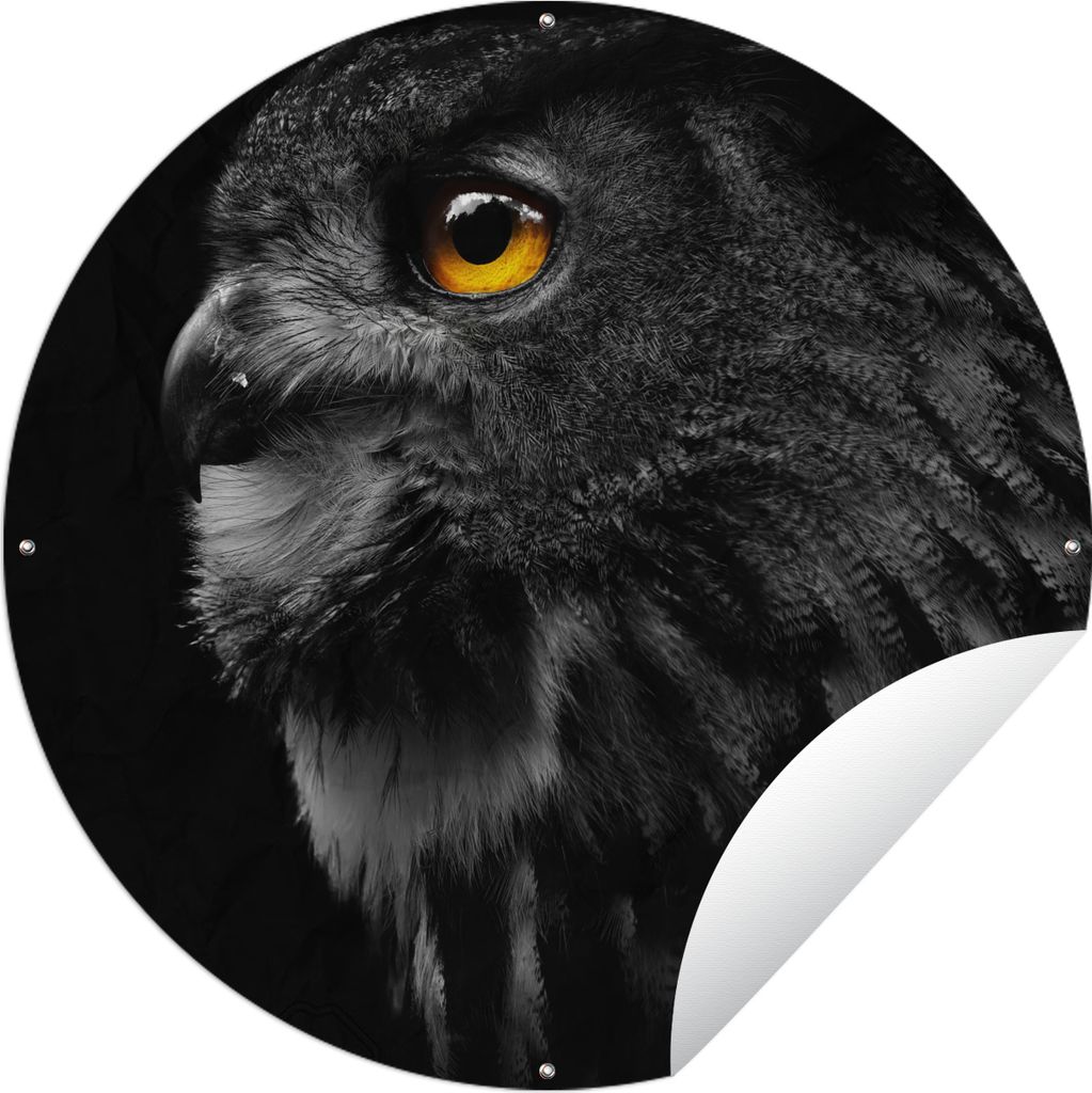 MuchoWow Gartenposter Outdoor-Poster Rund Eule - Vogel - Schwarz - Porträt Ø 120 cm Gartendeko Rundes Poster draußen