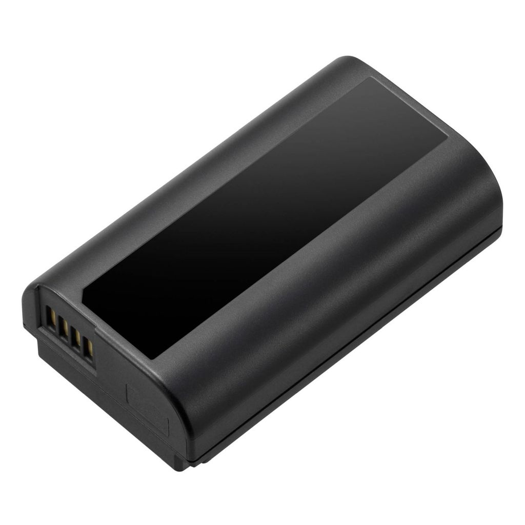 Panasonic DMW-BLJ31 - Batterie - Li-Ion - 3100 mAh - 23 Wh - für Lumix DC-S1M, S1, S1H, S1M, S1R, S1RM