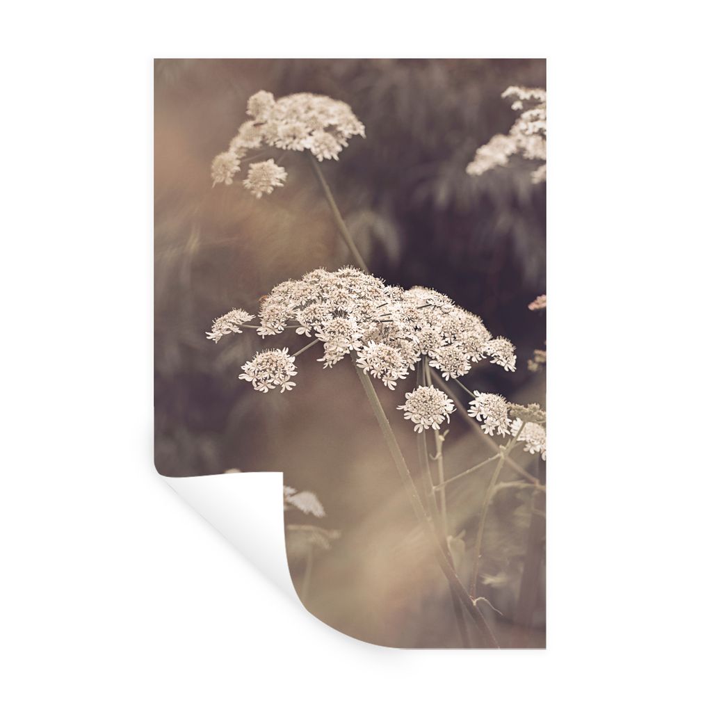 MuchoWow Wandtattoo Wandsticker Wandaufkleber Pflanze - Weiß - Natur - Blumen 80x120 cm Selbstklebend und Repositionierbar - Repositionierbar - ...