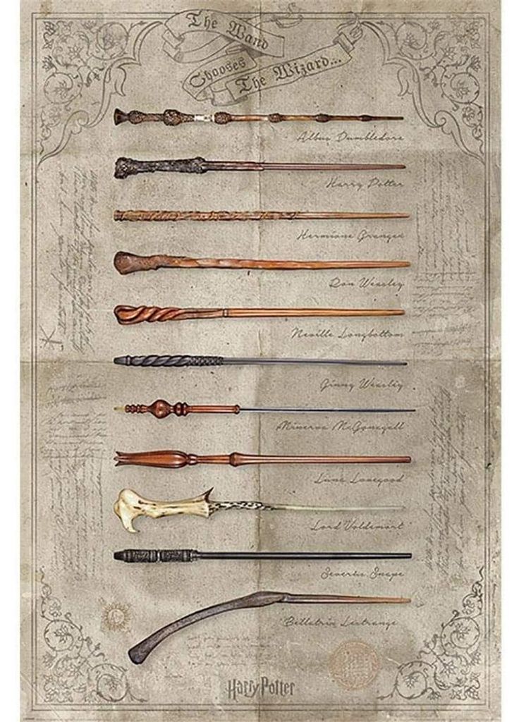 Harry Potter - "The Wand Chooses The Wizard" Maxi-Poster CD1191 (Einheitsgröße) (Bunt)