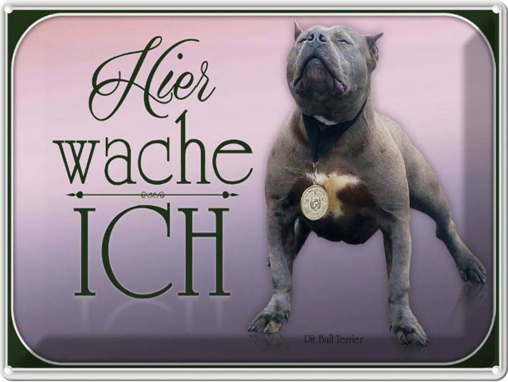 vianmo Blechschild 30x40 cm Hund Pit Bull Terrier hier Produktbild 