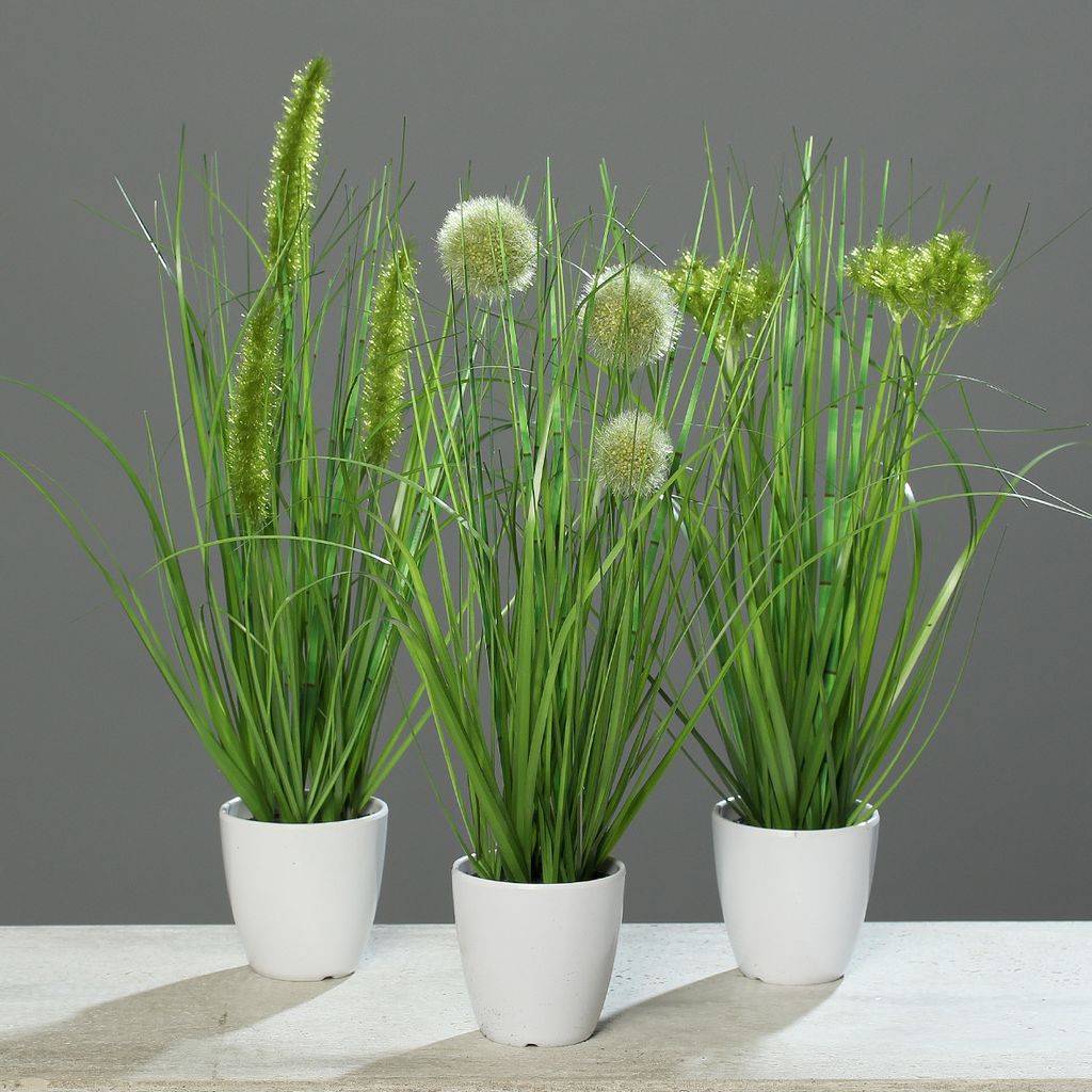 Kunstpflanze Kunstpflanze Gras im weißen Topf 3 Stück H38cm Produktbild 