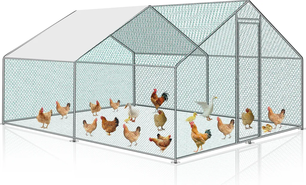 Recinto Esterno TolleTour 3x2x2m: Qualità Professionale al Miglior Prezzo