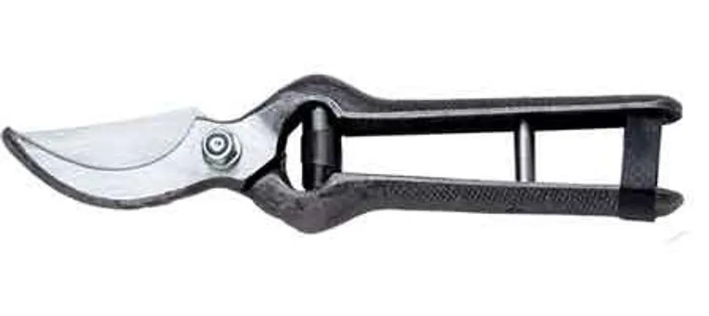 Sécateur de vignes Ausonia 25 cm - Outil de taille forgé professionnel