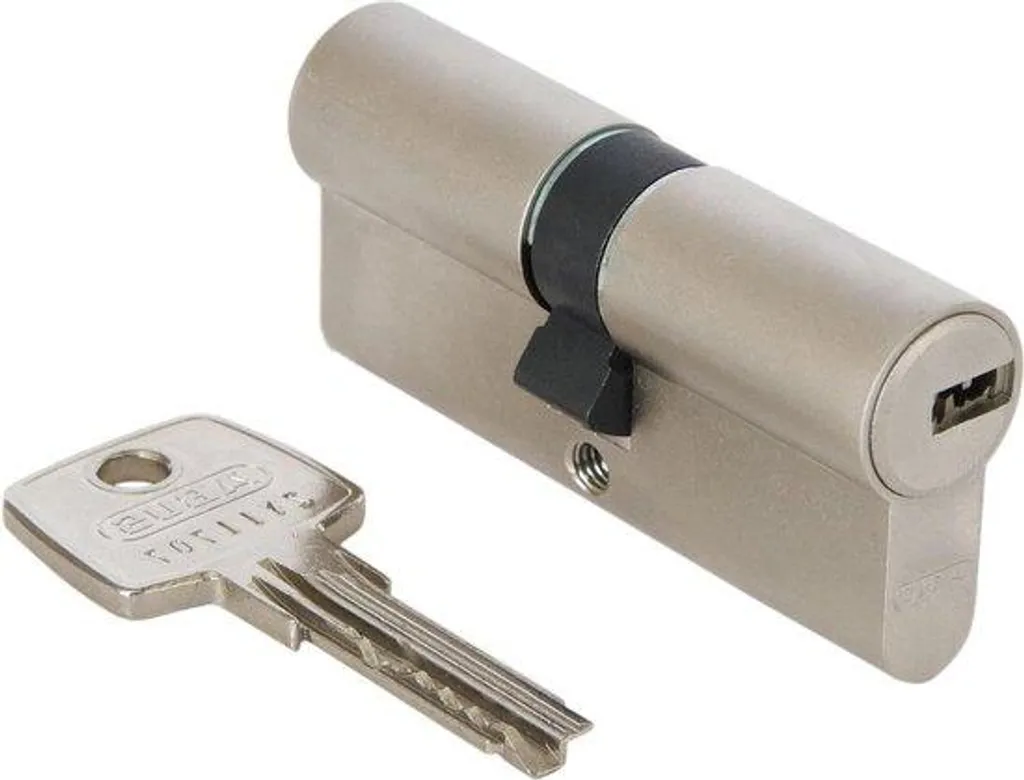 Cylindre de porte D6Xnp 30/30 avec carte de propriété et 5 clés 48297