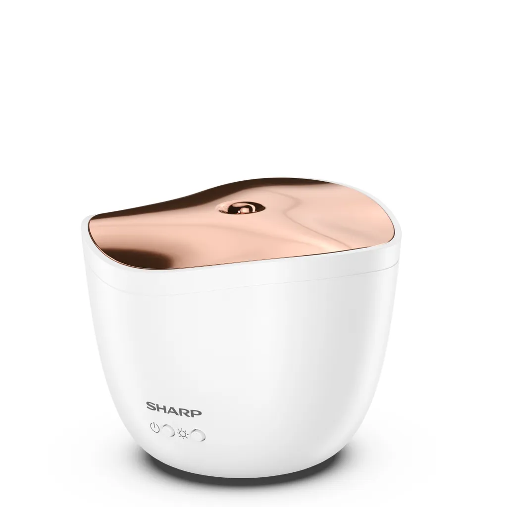 Diffuseur d'air Sharp DF-A1E-W : finissez-en avec l'air sec et vicié - 5